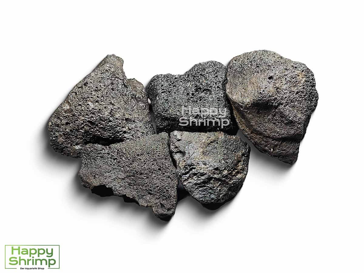 Schwarzer Lavastein ist wasserneutral und hat somit perfekte Eigenschaften für Caridina, als auch Sulawesi Garnelen.