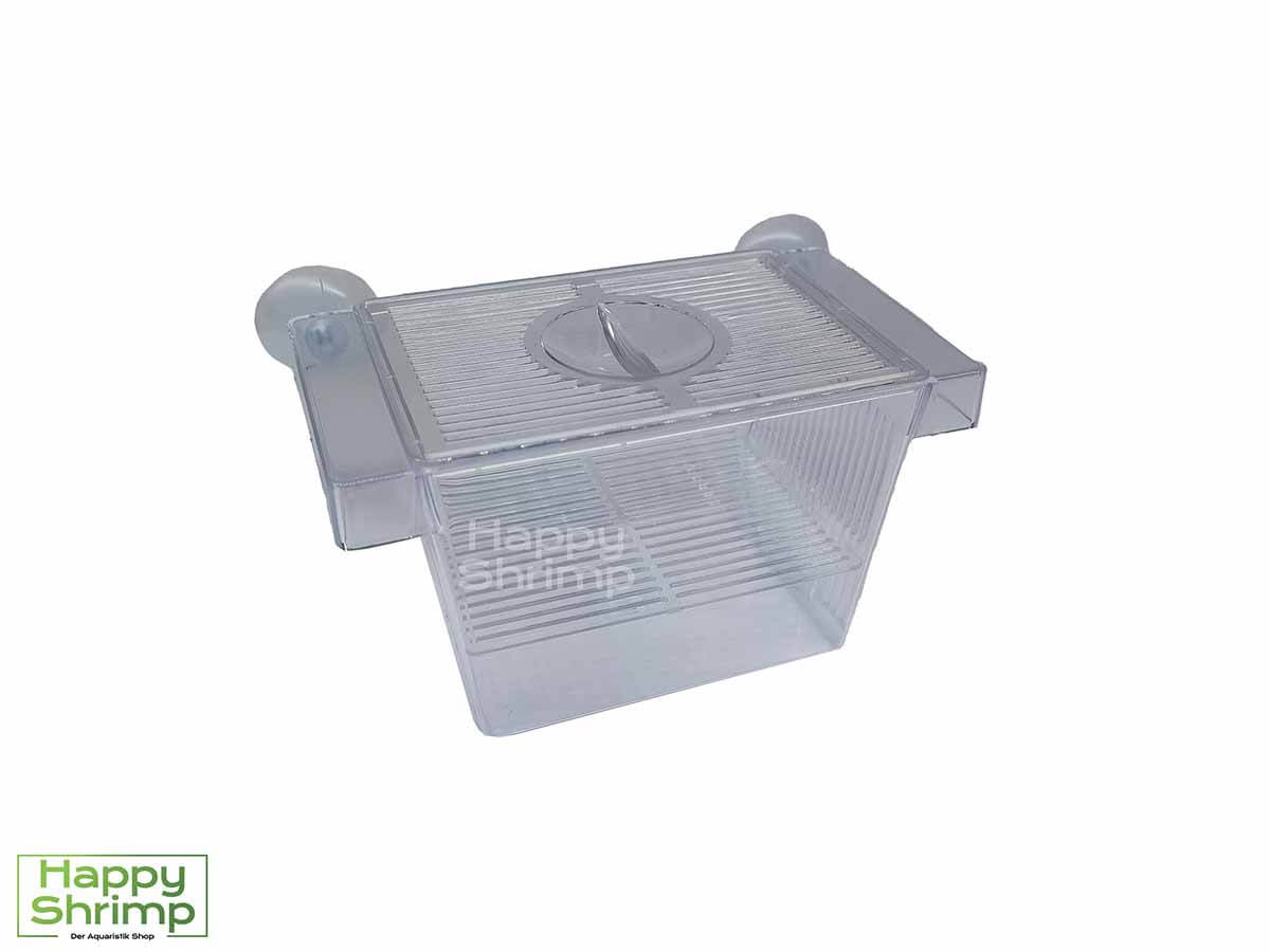 Der Aquarium Aufzuchtkasten ist perfekt für Garnelen geeignet.