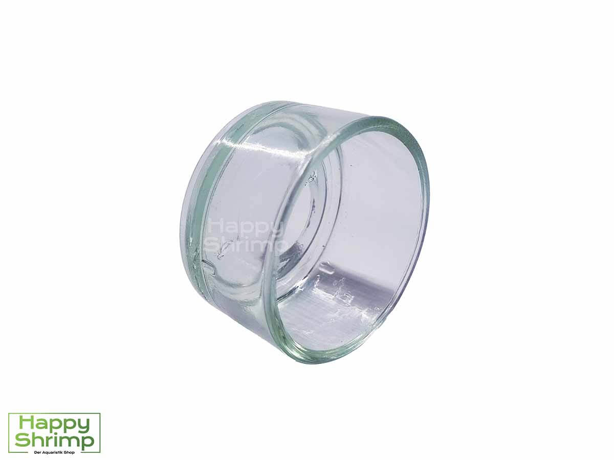 Diese Futterschale verhindert, dass das Essen in den Bodengrund sickert. So können Faulgase verhindert werden.