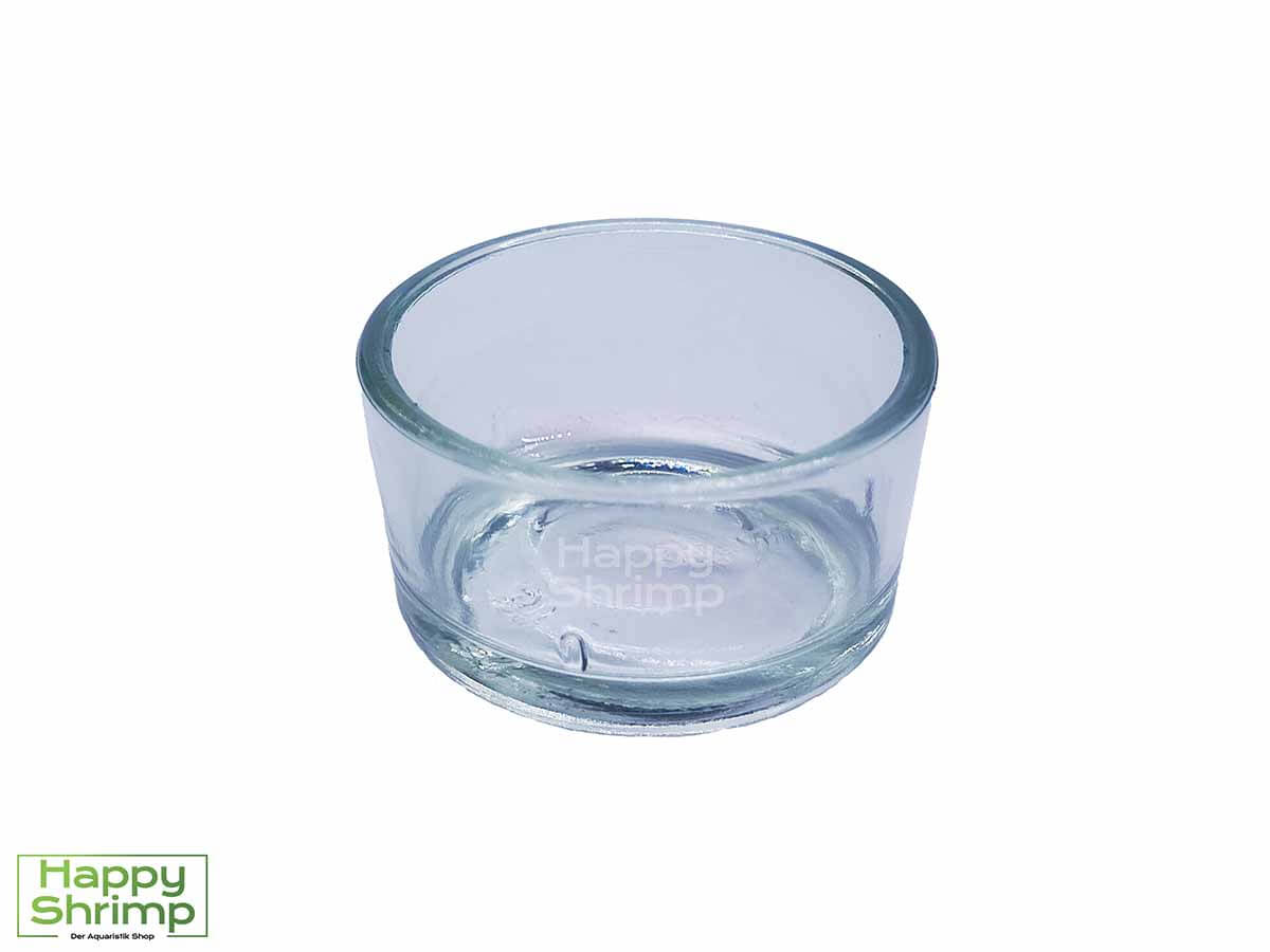 Diese Futterschale verhindert, dass das Essen in den Bodengrund sickert. So können Faulgase verhindert werden.