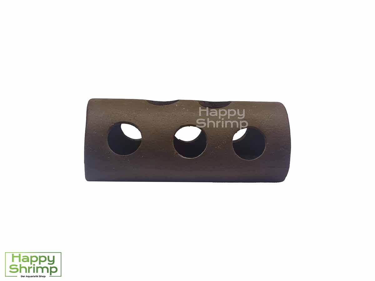 Diese Tonröhre mit Löchern bietet Garnelen ein sehr gutes Versteck.