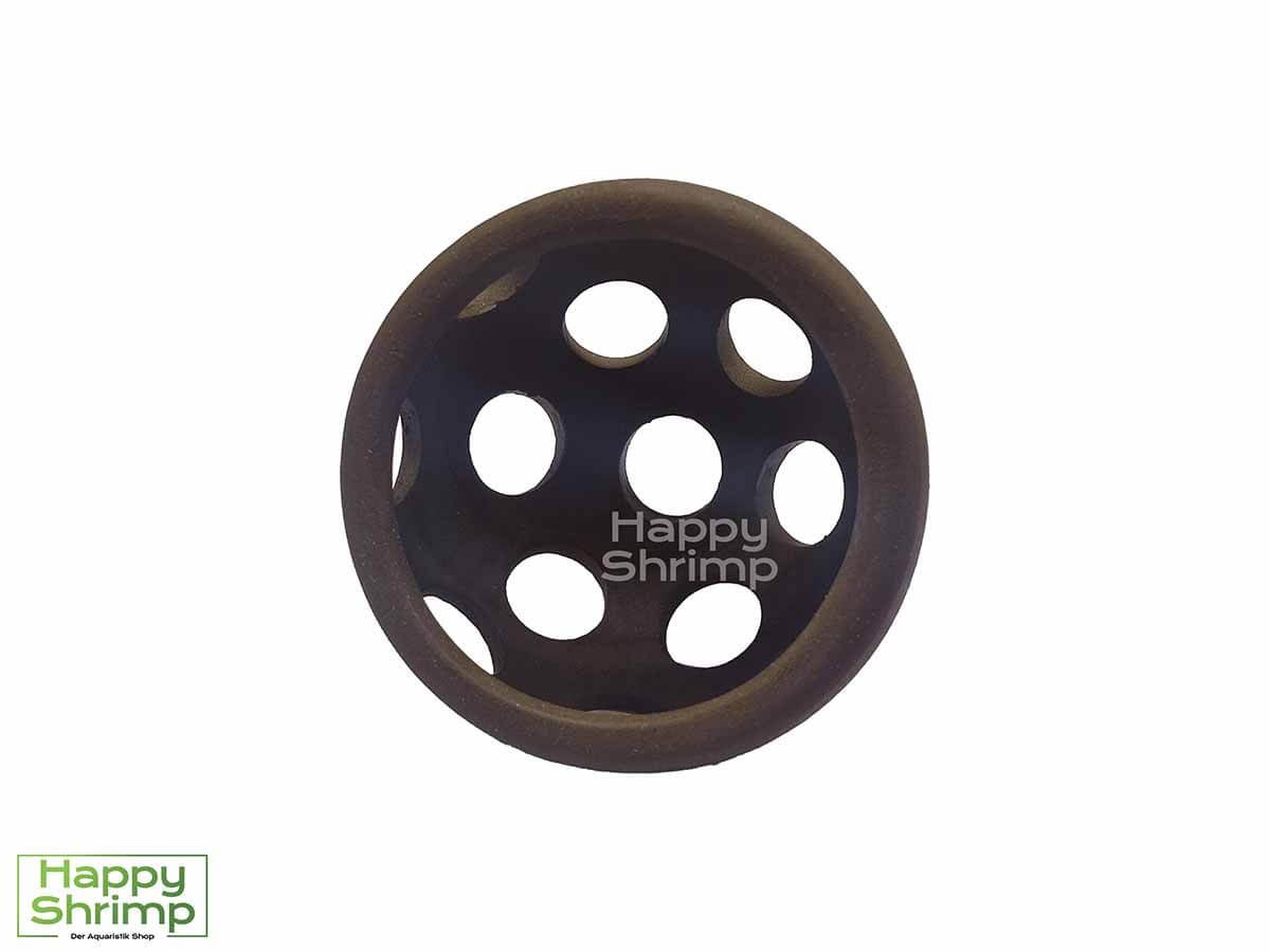 Diese Tonröhre mit Löchern bietet Garnelen ein sehr gutes Versteck.