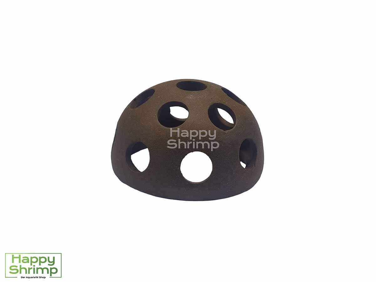 Diese Tonröhre mit Löchern bietet Garnelen ein sehr gutes Versteck.