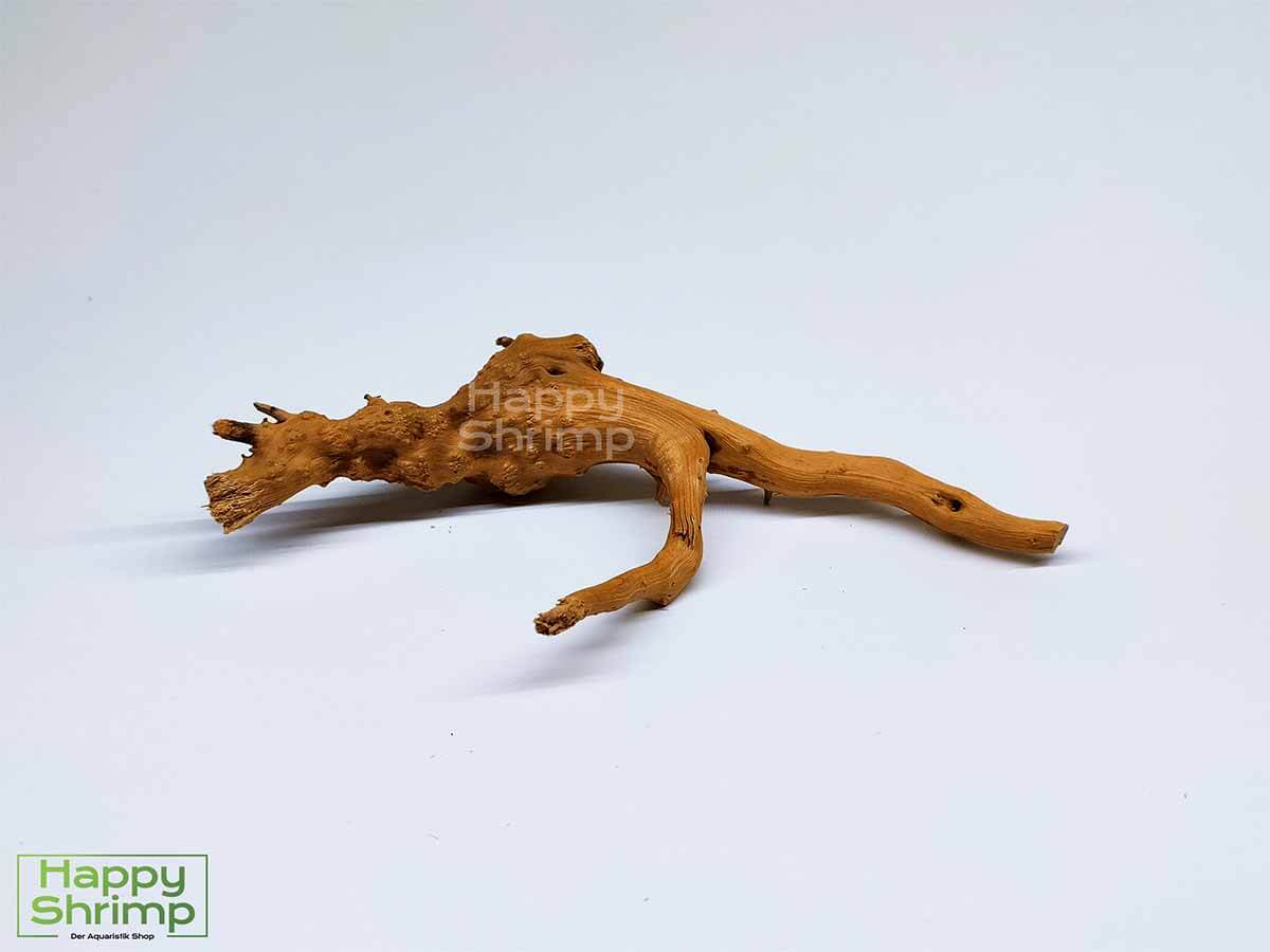 Fingerwurzel / Rote Moorwurzel