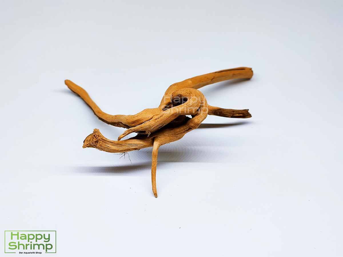 Fingerwurzel / Rote Moorwurzel