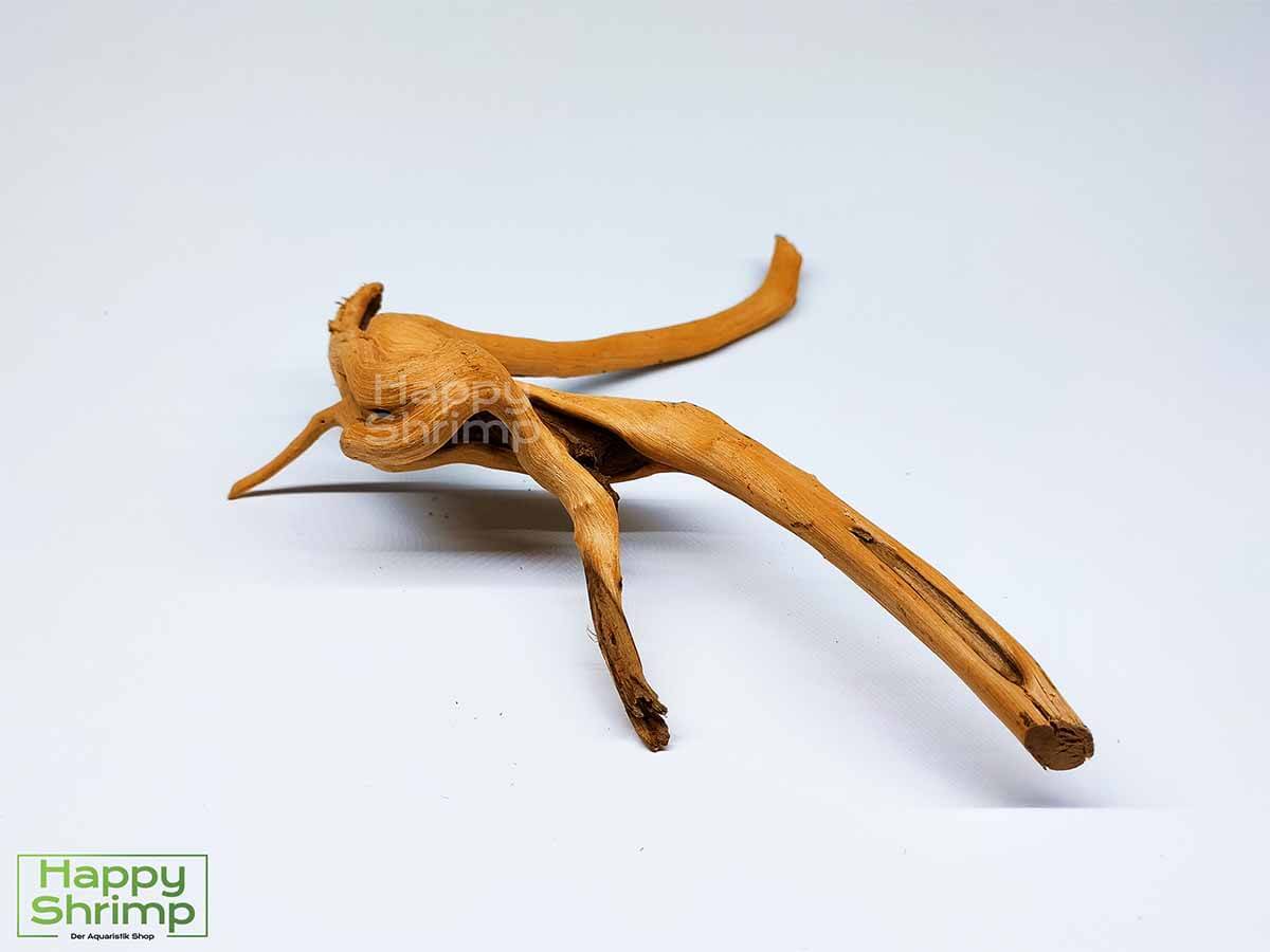 Fingerwurzel / Rote Moorwurzel