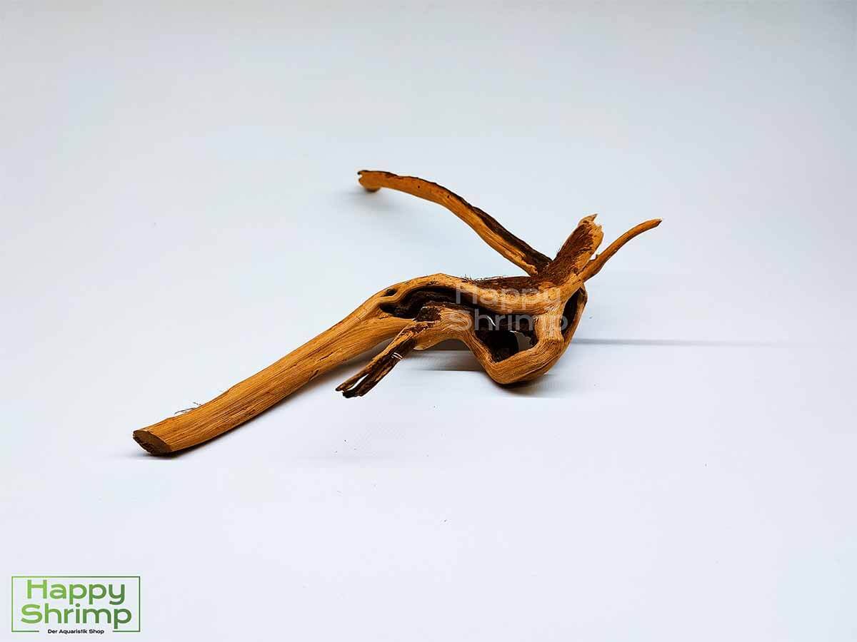 Fingerwurzel / Rote Moorwurzel