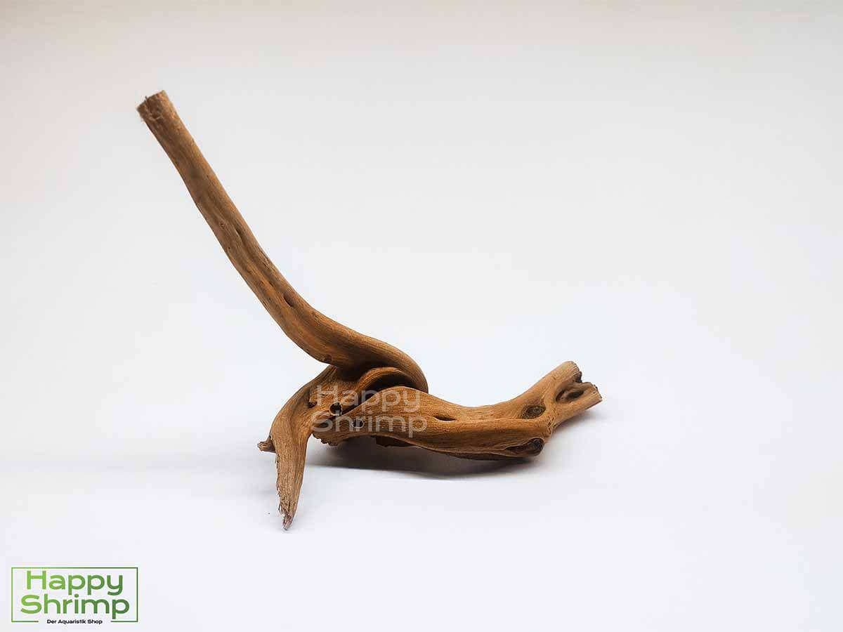 Fingerwurzel / Rote Moorwurzel