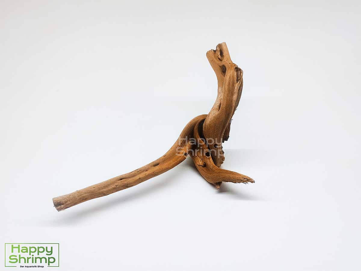 Fingerwurzel / Rote Moorwurzel