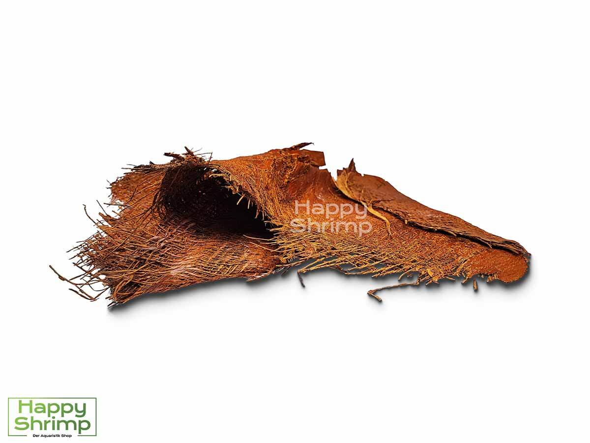 Arecafaser - Palmenfasern bieten deinen Garnelen eine große Weidefläche. Besonders kleine Garnelen können sich gut verstecken.