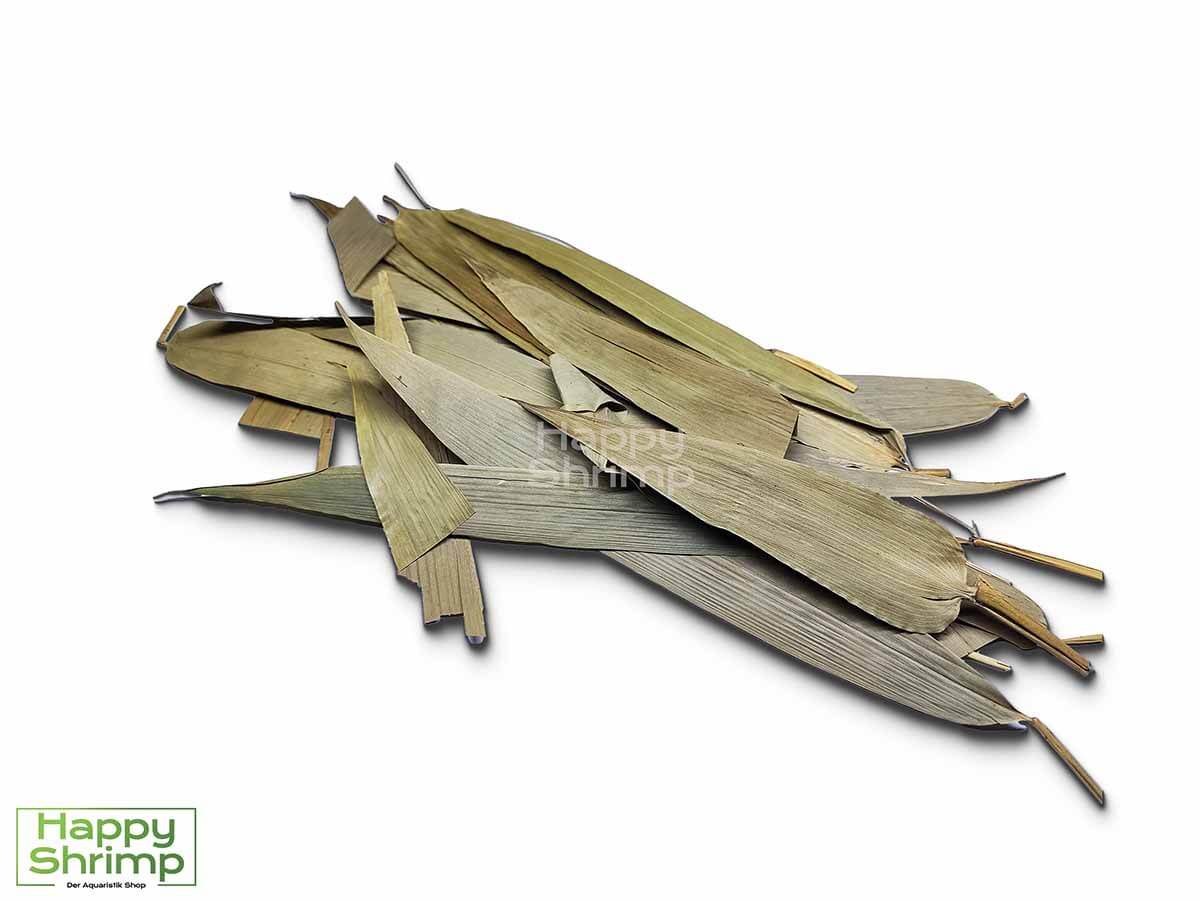 Bambusblätter Bambusblätter können sowohl als Futter als auch Versteckmöglichkeit für Garnelen genutzt werden. Somit ein richtiger Allrounder.