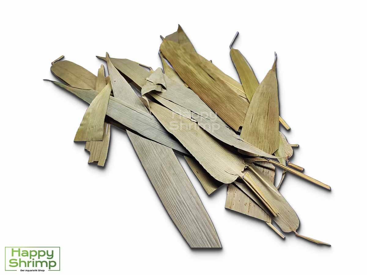 Bambusblätter Bambusblätter können sowohl als Futter als auch Versteckmöglichkeit für Garnelen genutzt werden. Somit ein richtiger Allrounder.