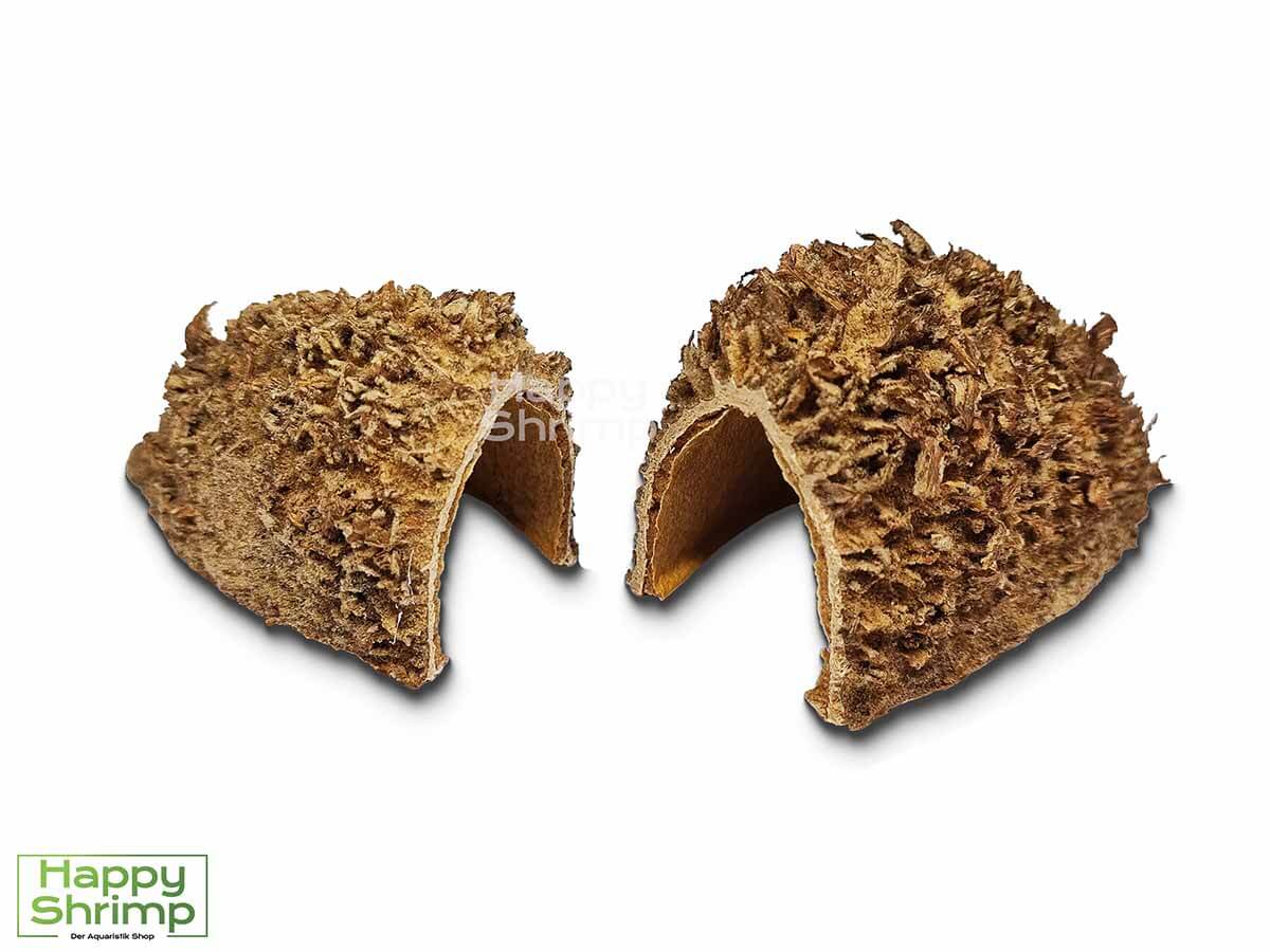 Bolsa de Pastor Höhle Bei der Bolsa de Pastor Höhle handelt es sich im Grunde um eine Schote aus Brasilien. Ein natürlicher Rückzugsort für Garnelen & kleine Krebse.