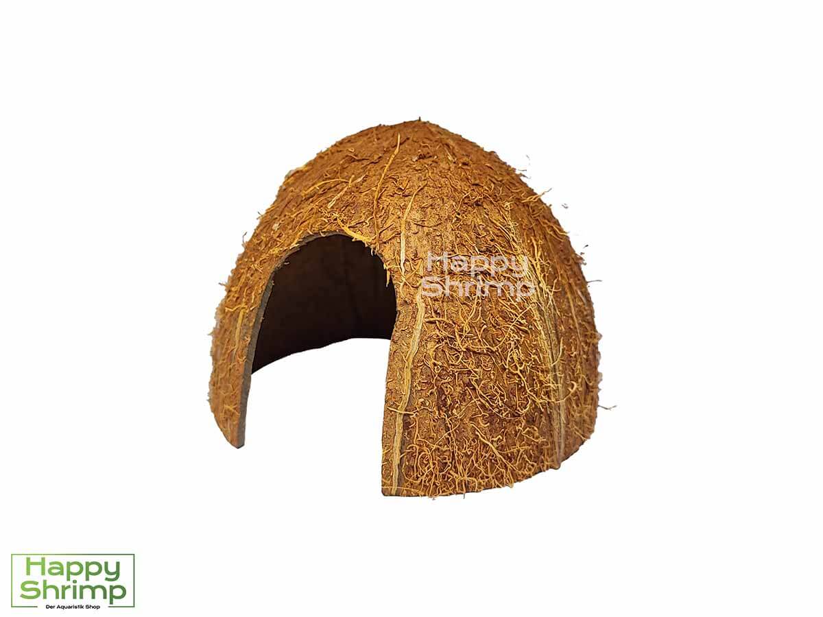 Kokosnuss Höhle1 Die Kokosnuss Höhle bietet ein natürlichen Rückzugsort für Garnelen & Krebse.