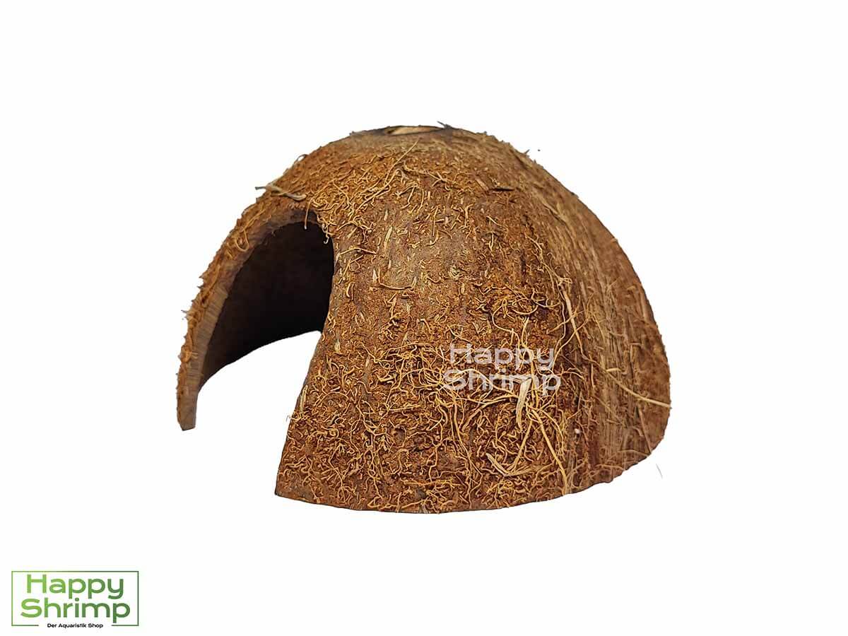 Kokosnuss Höhle2 Die Kokosnuss Höhle bietet ein natürlichen Rückzugsort für Garnelen & Krebse.