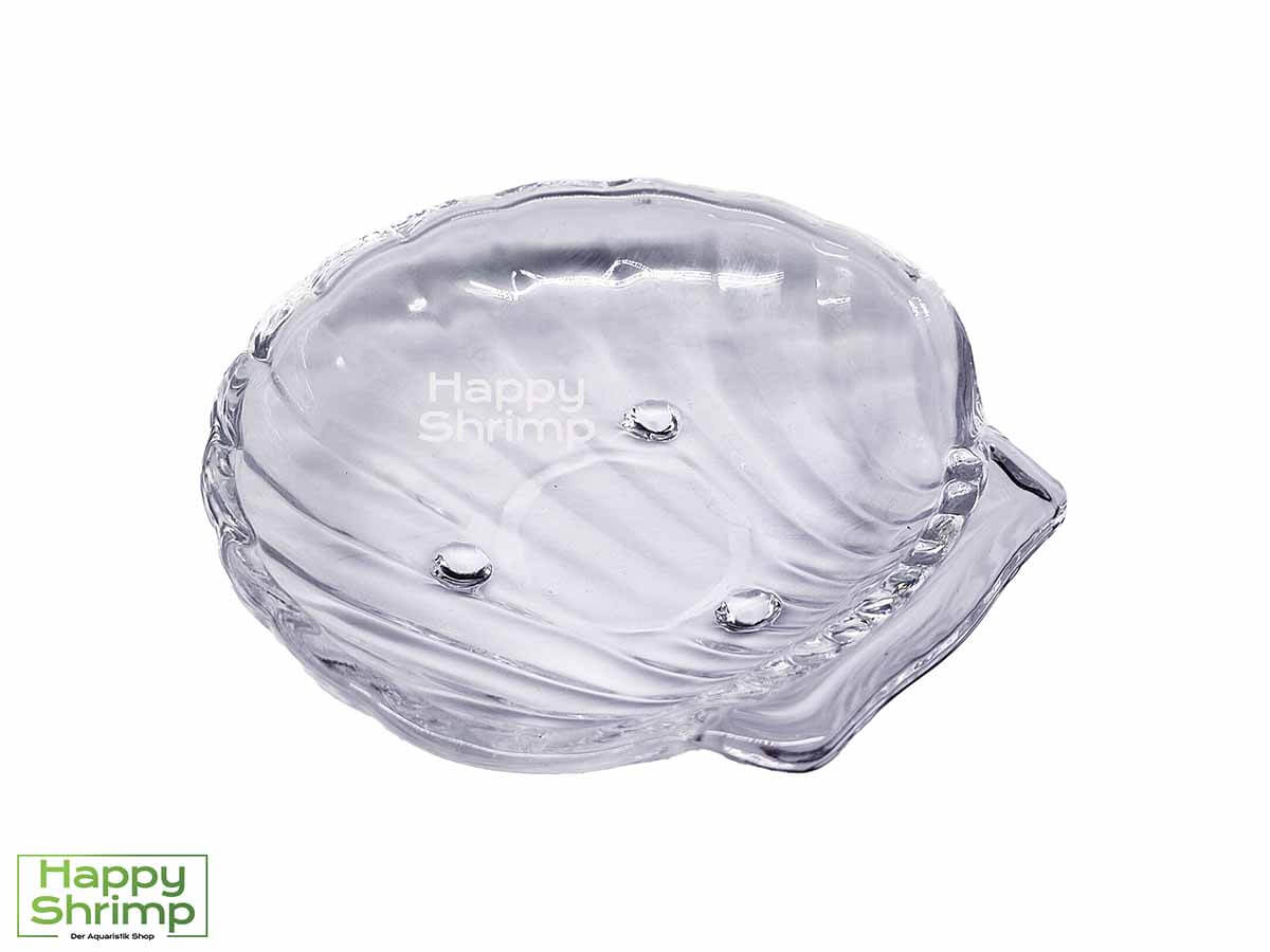 Diese OrinocoGlass Futtermuschel verhindert, dass das Essen in den Bodengrund sickert um so Faulgase zu verhindern.