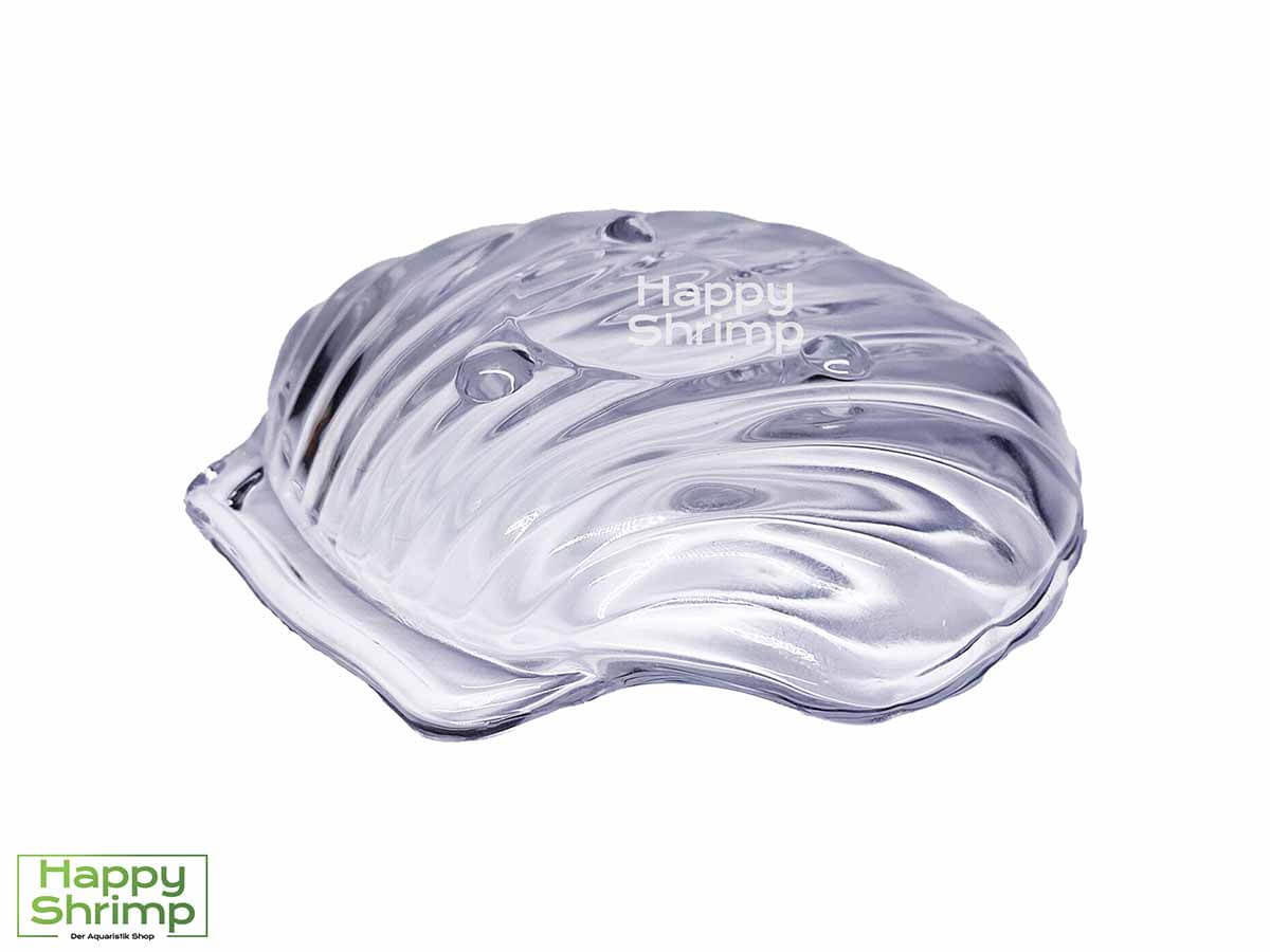 Diese OrinocoGlass Futtermuschel verhindert, dass das Essen in den Bodengrund sickert um so Faulgase zu verhindern.