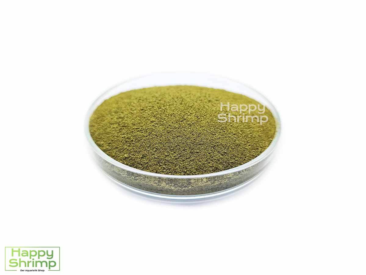 Gerstengras Pulver kann optimal als Staubfutter für Garnelen in deinem Aquarium verwendet werden. Auch für Shrimp Lollies geeignet.