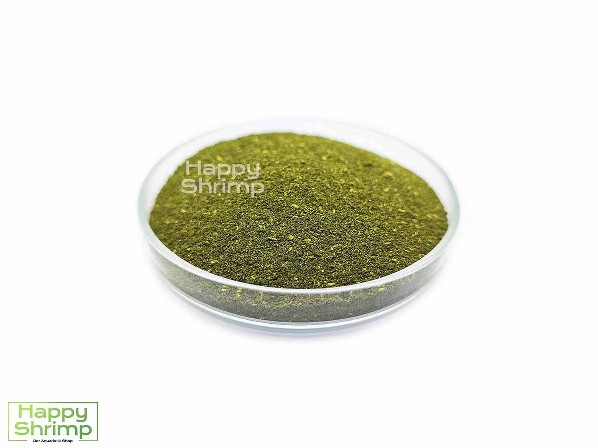 Maulbeerblätter Pulver kann optimal als Staubfutter für Garnelen in deinem Aquarium verwendet werden. Auch für Shrimp Lollies geeignet.