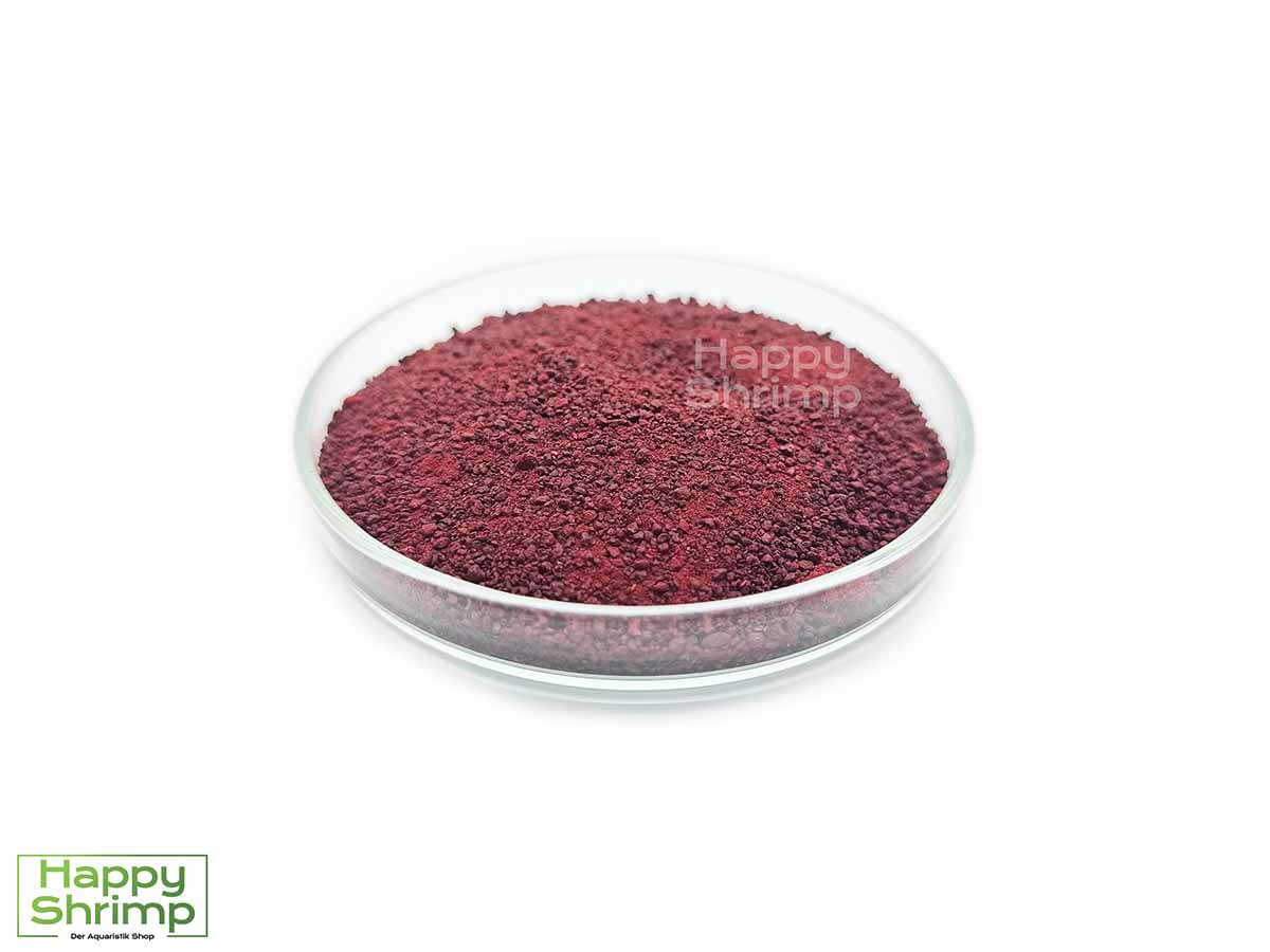 Rote Beete Pulver kann optimal als Staubfutter für Garnelen in deinem Aquarium verwendet werden. Auch für Shrimp Lollies geeignet.
