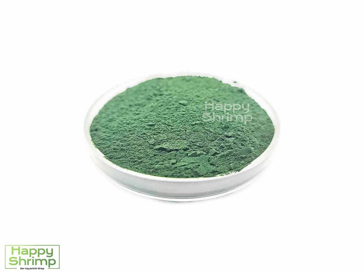 Spirulina Pulver Staubfutter für Garnelen Spirulina Pulver eignet sich ideal für dein Garnelen Aquarium. Es kann als Staubfutter verwendet werden.