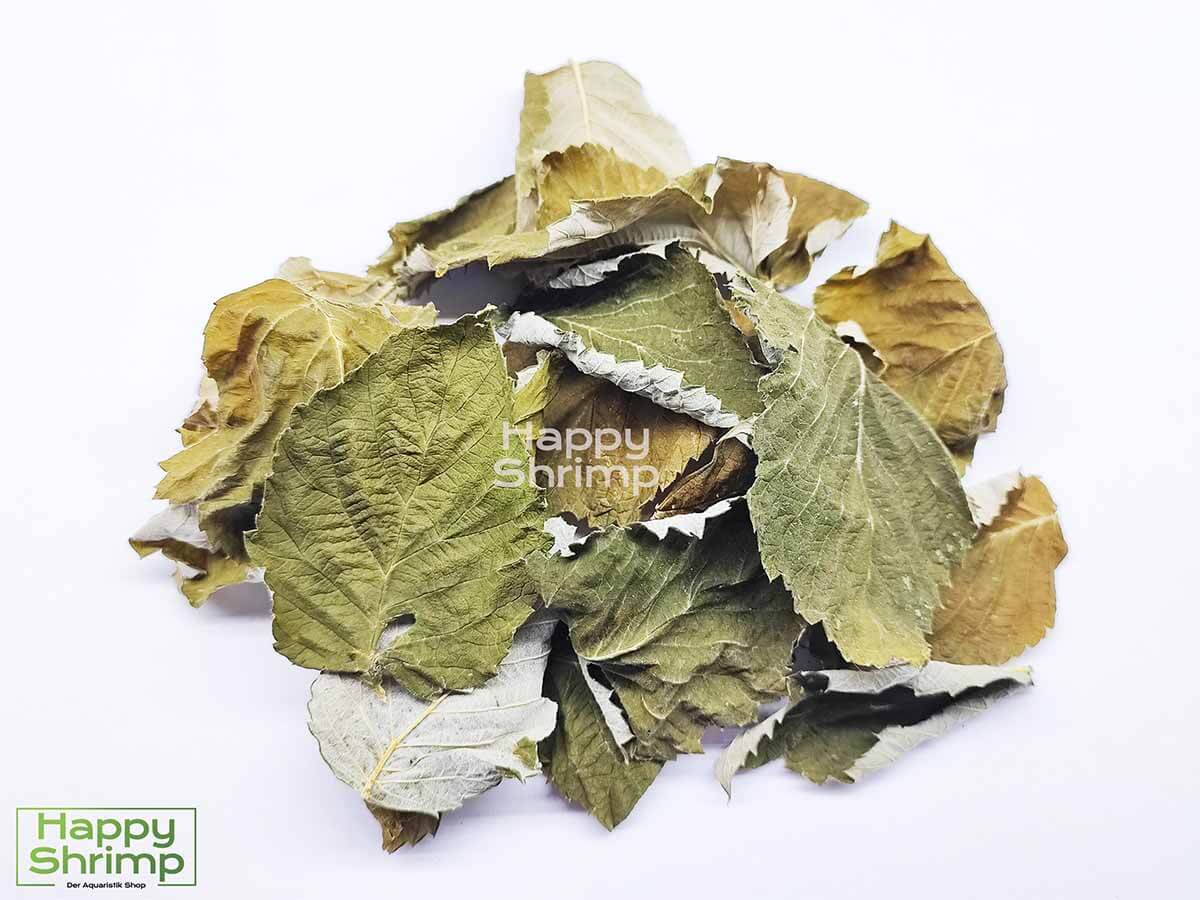 Diese Himbeerblätter werden von uns schonend getrocknet und sind 100% frei von Pestiziden etc.