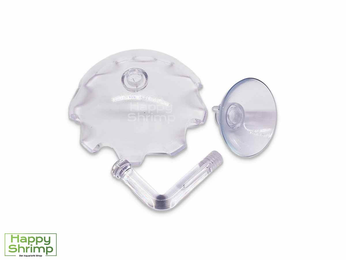 Diese Garnelen Futterschale kannst du mit Hilfe des Saugnapfes ganz leicht an deiner Aquarium Scheibe befestigen.