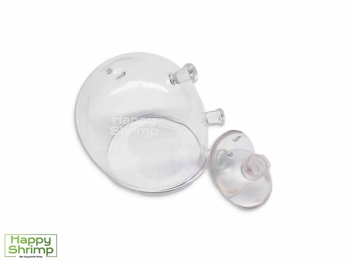 Unser Pflanzenhalter schützt nicht nur deine Aquarium Pflanzen vor Krebsen, sondern bietet auch eine stylische Deko für deine Scheibe.