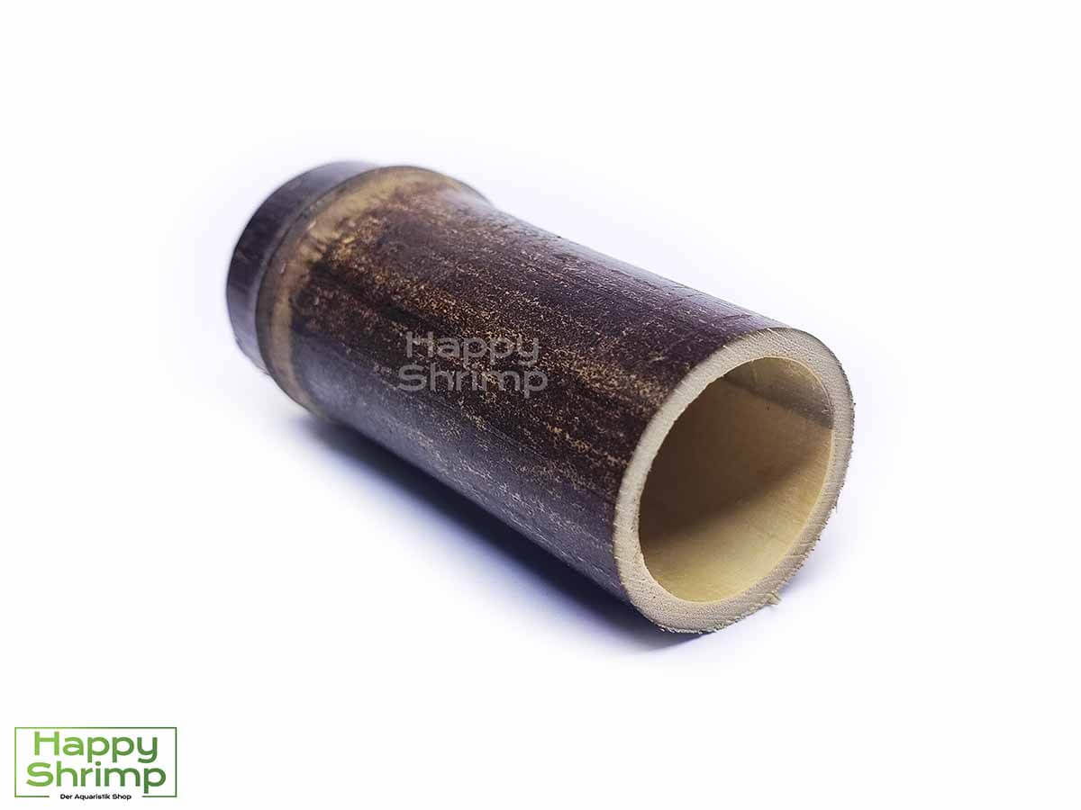 Bambus Höhlen eignen sich sehr gut als Versteck für deine Garnelen, Krebse & Welse.