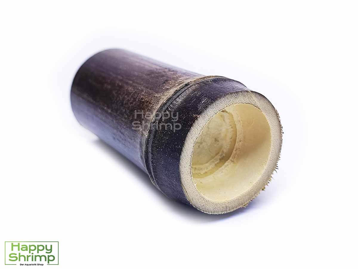 Bambus Höhlen eignen sich sehr gut als Versteck für deine Garnelen, Krebse & Welse.