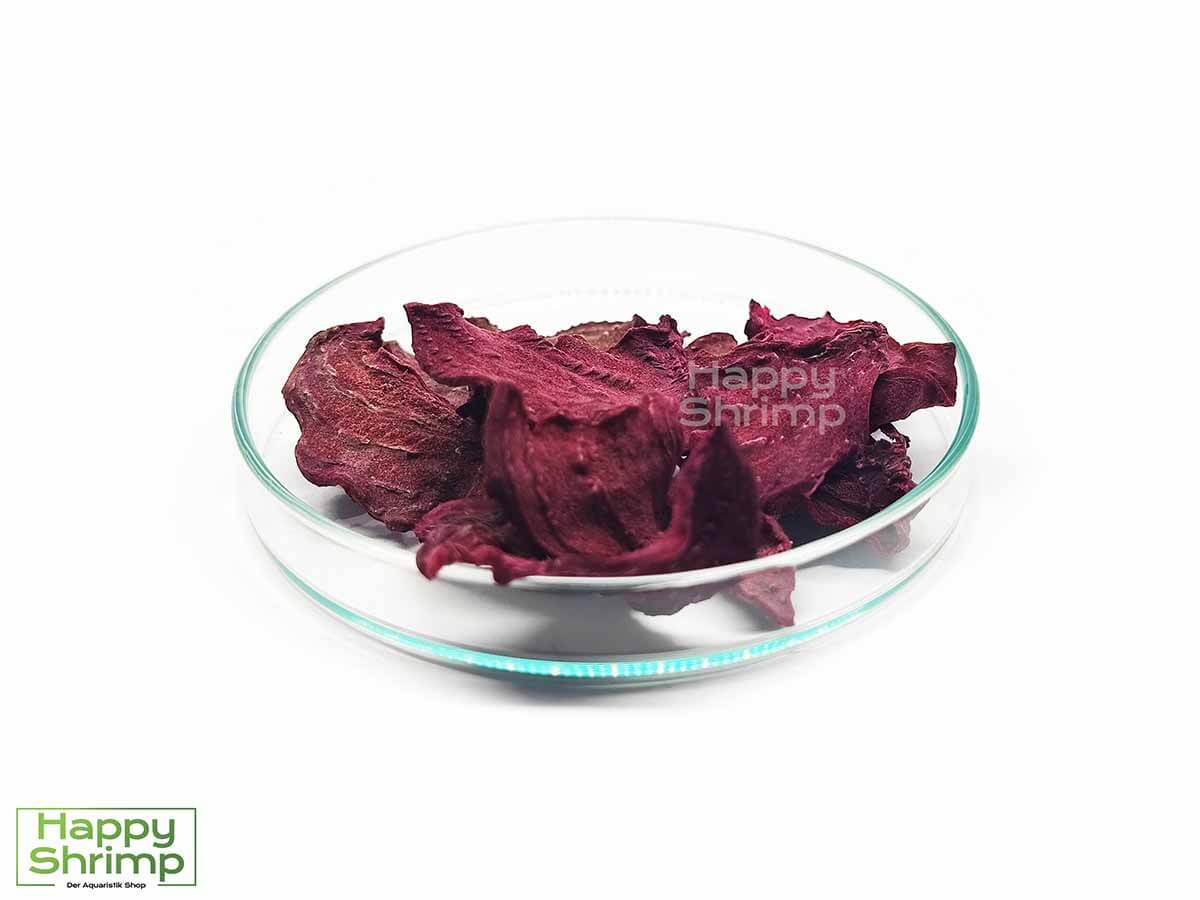 Premium Rote Beete Chips werden von uns aus Bio Gemüse hergestellt. Somit in höchste Qualität für deine Aquarium & Terrarium Tiere.