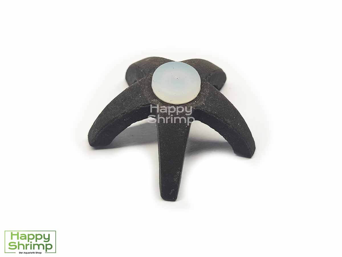 Unser Shrimp Lollie Halter wird aus Ton hergestellt und bietet dir somit einen langlebigen Begleiter für die Fütterung deiner Garnelen.