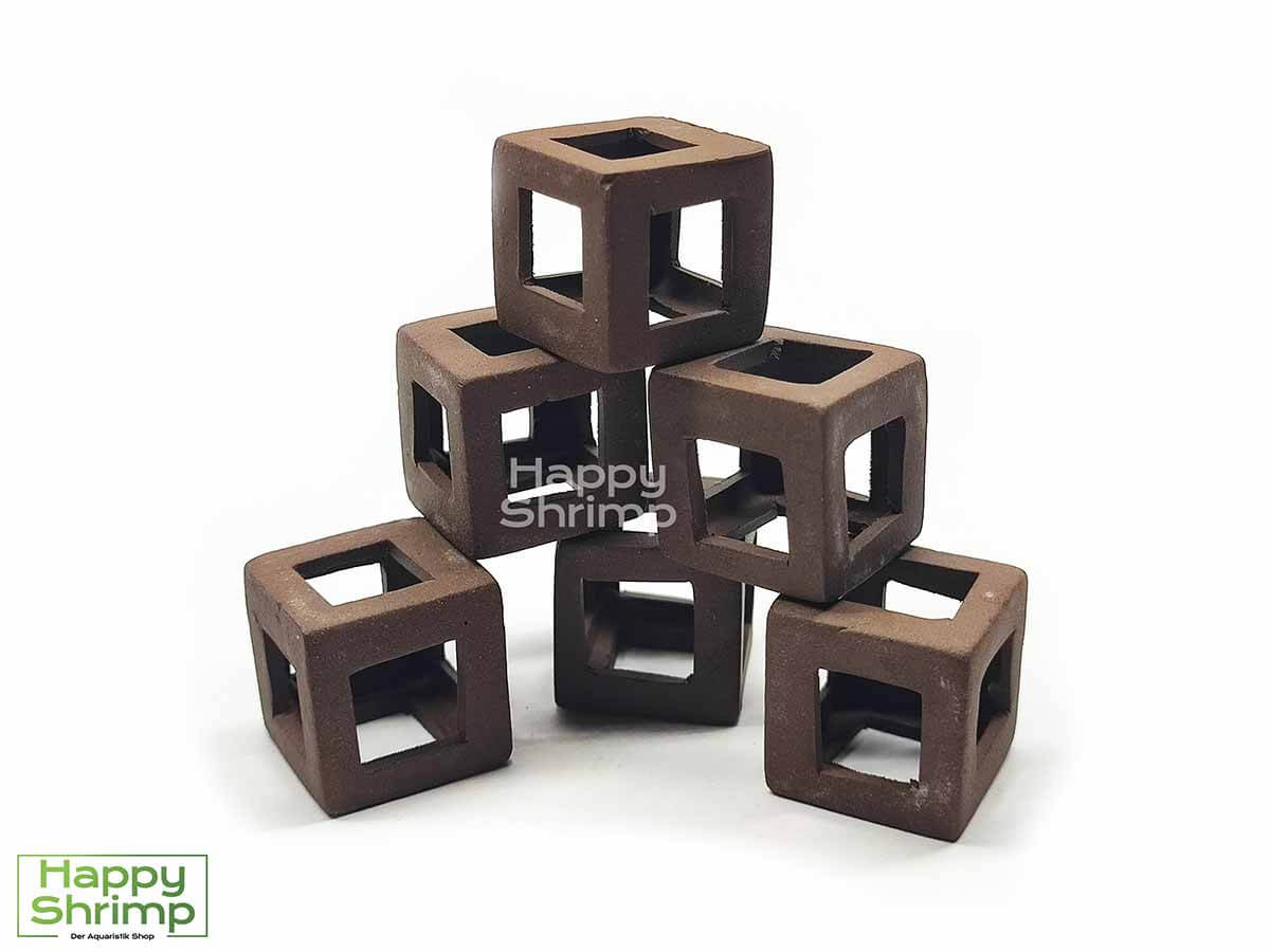 Mit diesen Garnelen Würfel kannst du einen schicken Spielplatz für deine Shrimps gestalten.