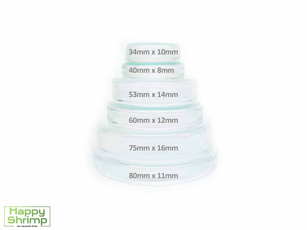 Futterschale aus Glas 6 Größen Basic Stapel Futterschale aus Glas ideal für Garnelen und Schnecken.