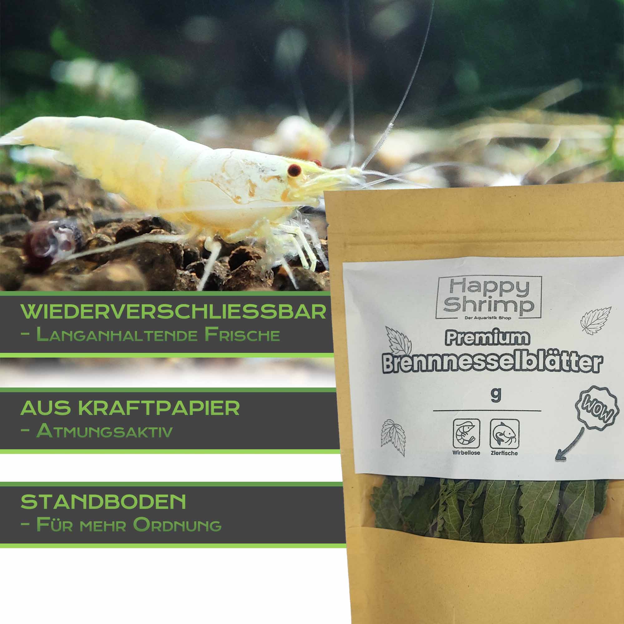 Brennnesselblätter eignen sich optimal als natürliches Futter für Garnelen, Schnecken, Welse und viele andere Aquarien Tiere.