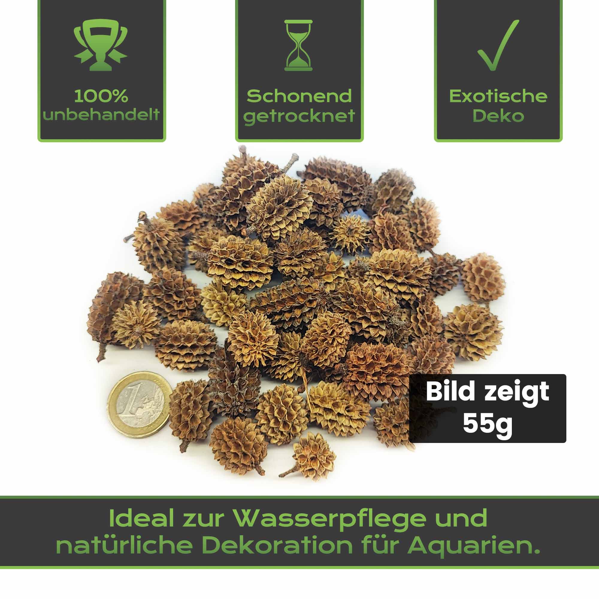 Die Casuarina Cones sind der hier heimischen Erlenzapfen sehr ähnlich. Beide Produkte pflegen das Wasser und dienen ebenso als Versteck.