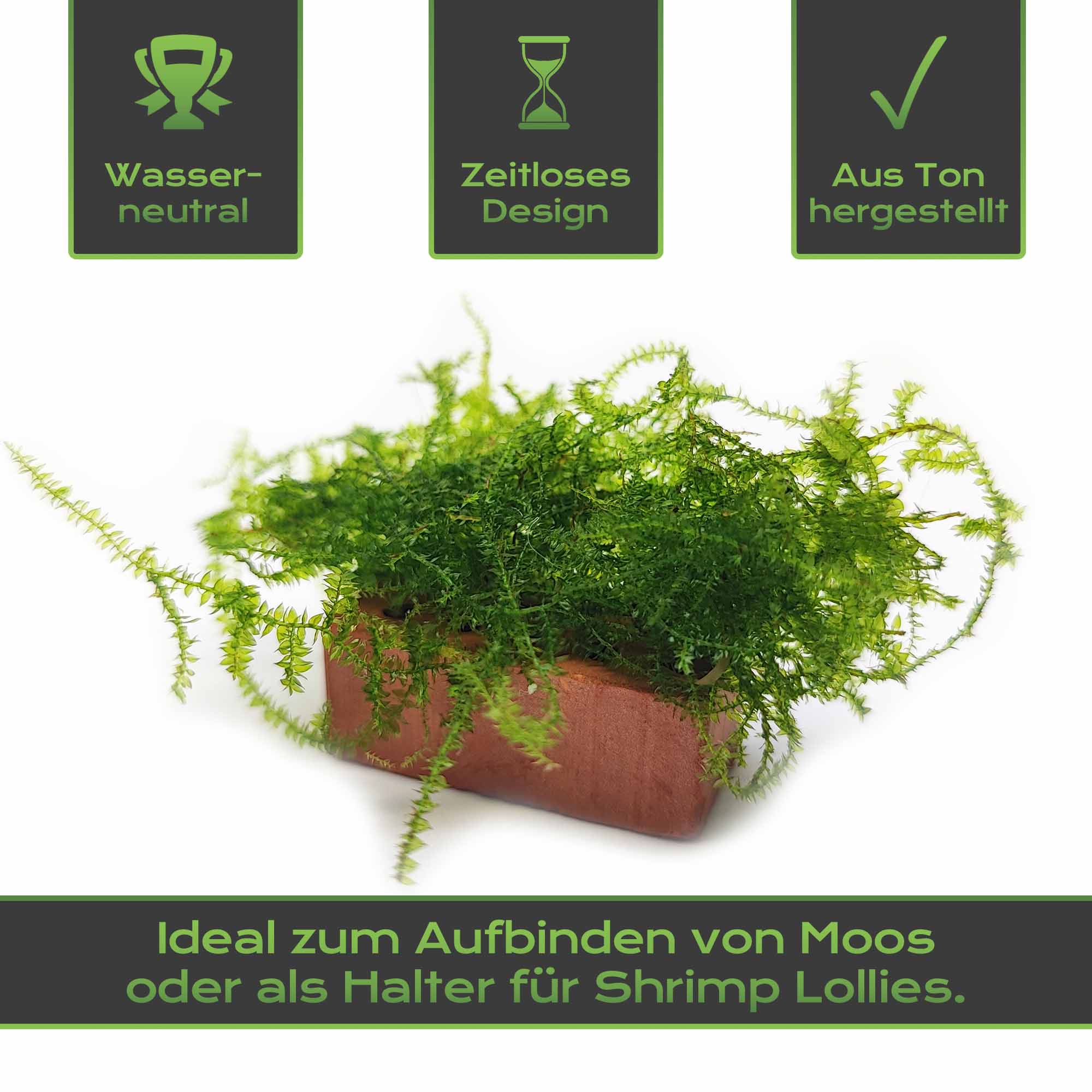 Mini Ziegel eignen sich optimal für dein Garnelen Aquarium. Aber auch für Aquarien mit Welsen oder Krebsen sind diese kleinen Dekoration Steine aus natürlichem Ton geeignet.